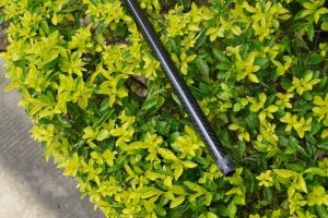 Висока якост 10 * 8 мм епоксидни карбонова тръба/тръби